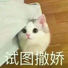 巨沃六一年度曬娃大賽